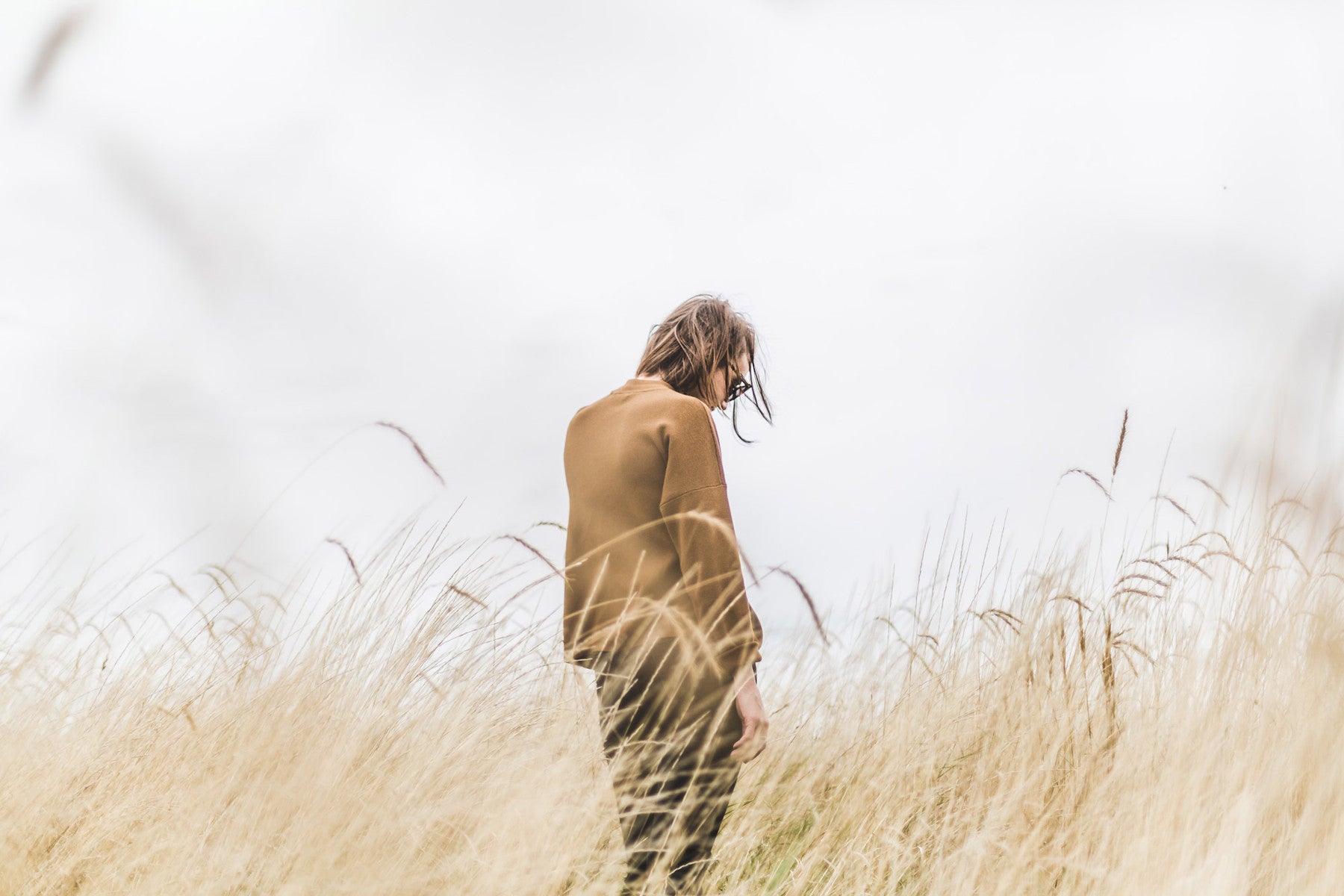 INTO THE FIELDS